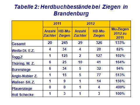 schaf_und_ziegenzucht_im_jahresrueckblick_2012_bild_2